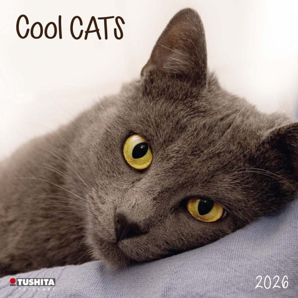 Cool Cats Wall Calendar 2026 | Bookazine HK