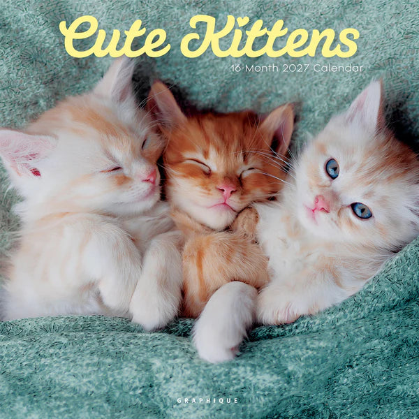 Cute Kittens Wall Calendar 2027