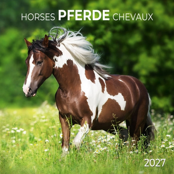 Horses Wall Calendar With Poster 2027