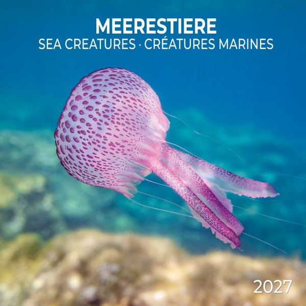 Sea Creatures Wall Calendar With Poster 2027