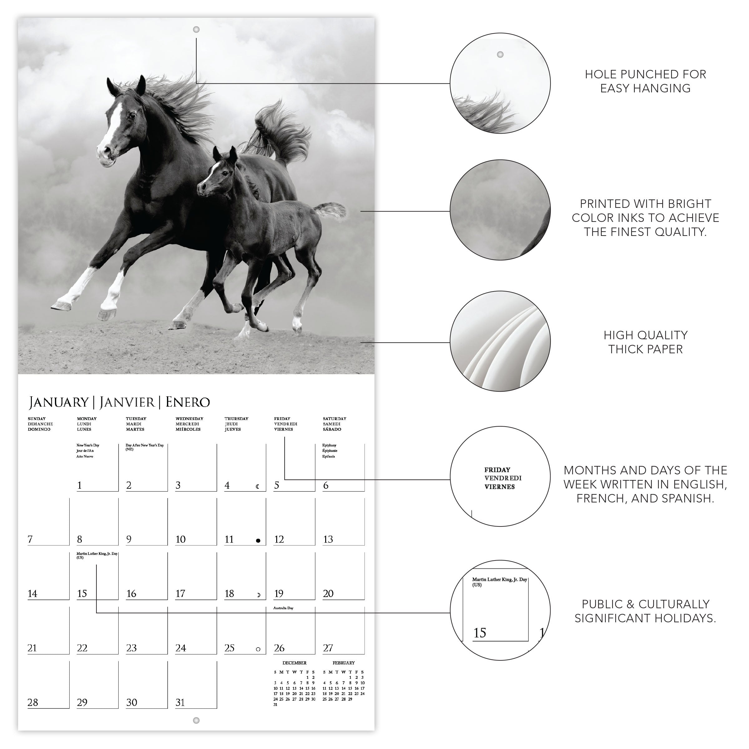 horses-2024-wall-calendar