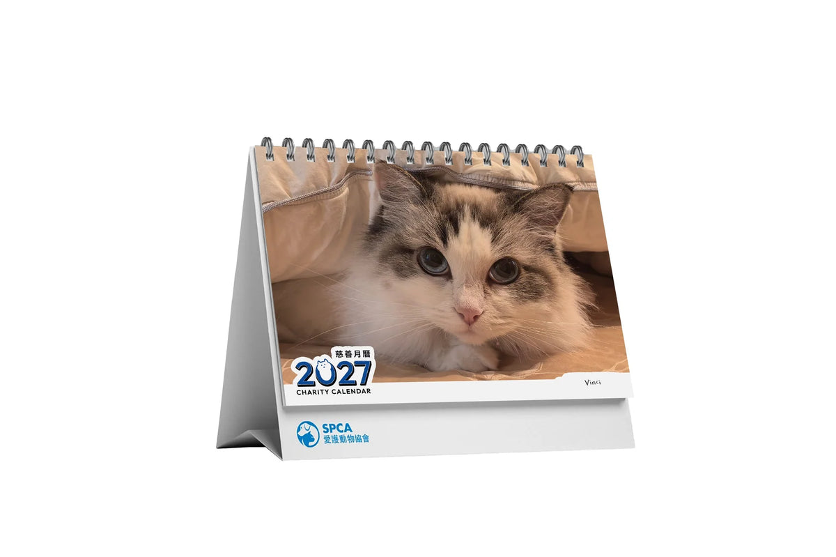 SPCA Cat Desk Calendar 2027