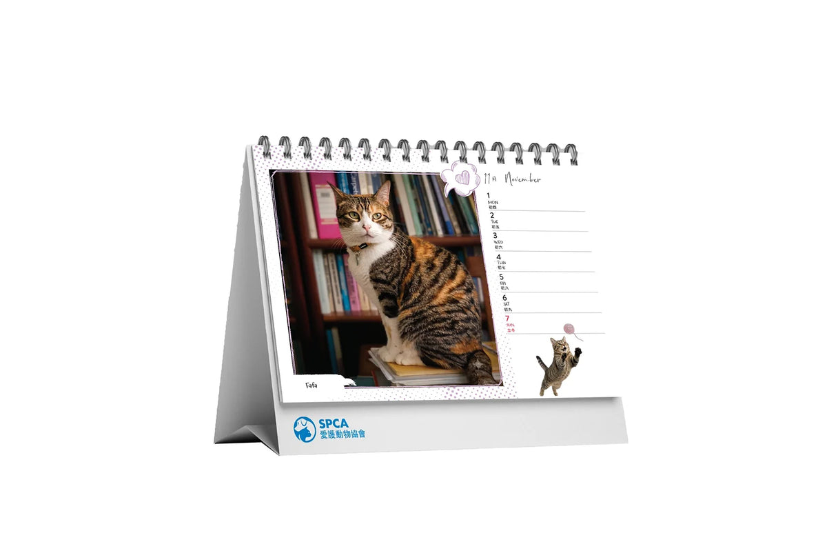 SPCA Cat Desk Calendar 2027