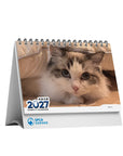 SPCA Cat Desk Calendar 2027
