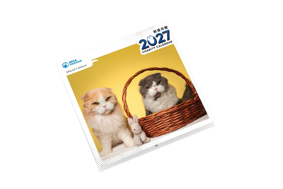 SPCA Cat Wall Calendar 2027