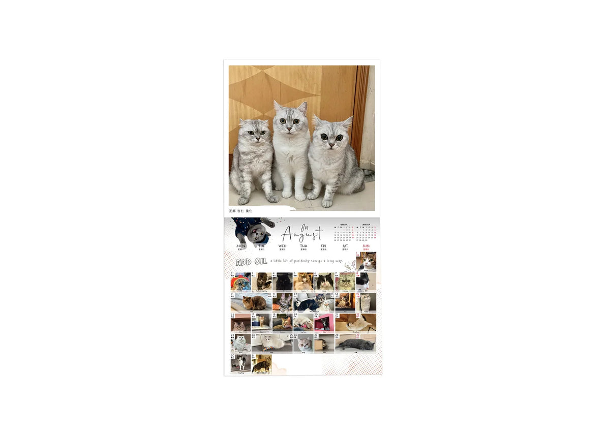 SPCA Cat Wall Calendar 2027