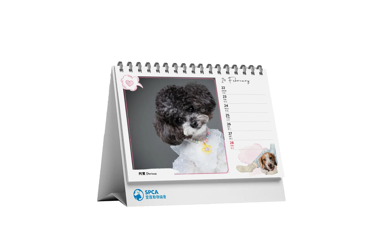 SPCA Dog Desk Calendar 2027