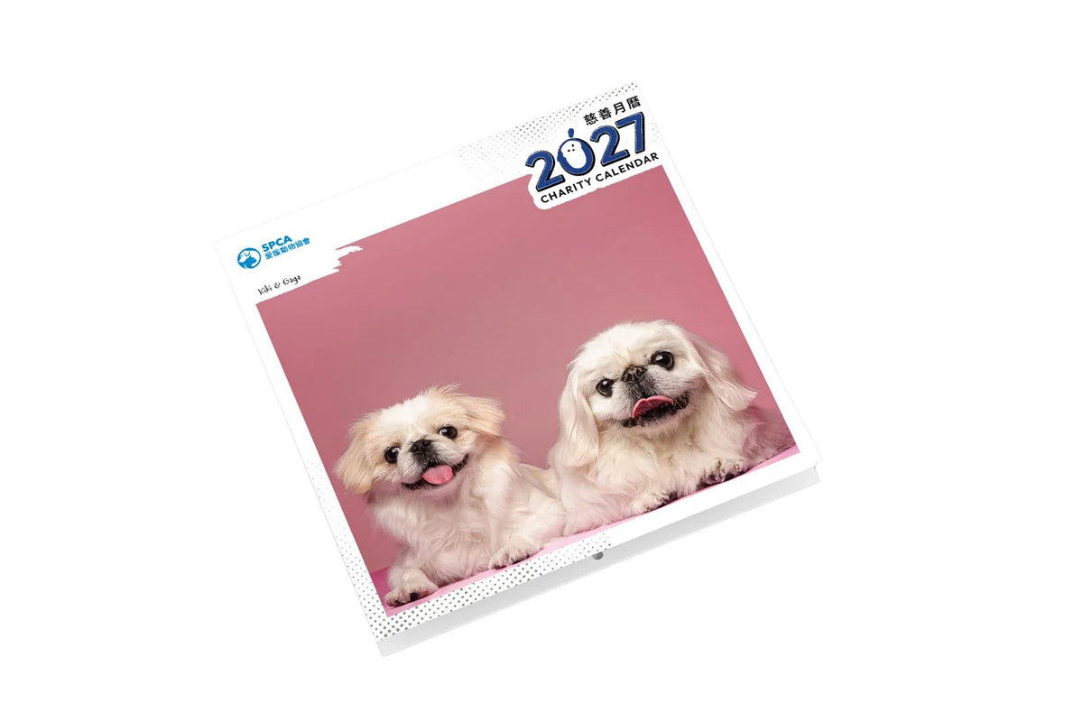 SPCA Dog Wall Calendar 2027