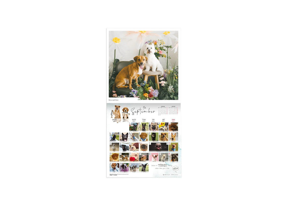 SPCA Dog Wall Calendar 2027