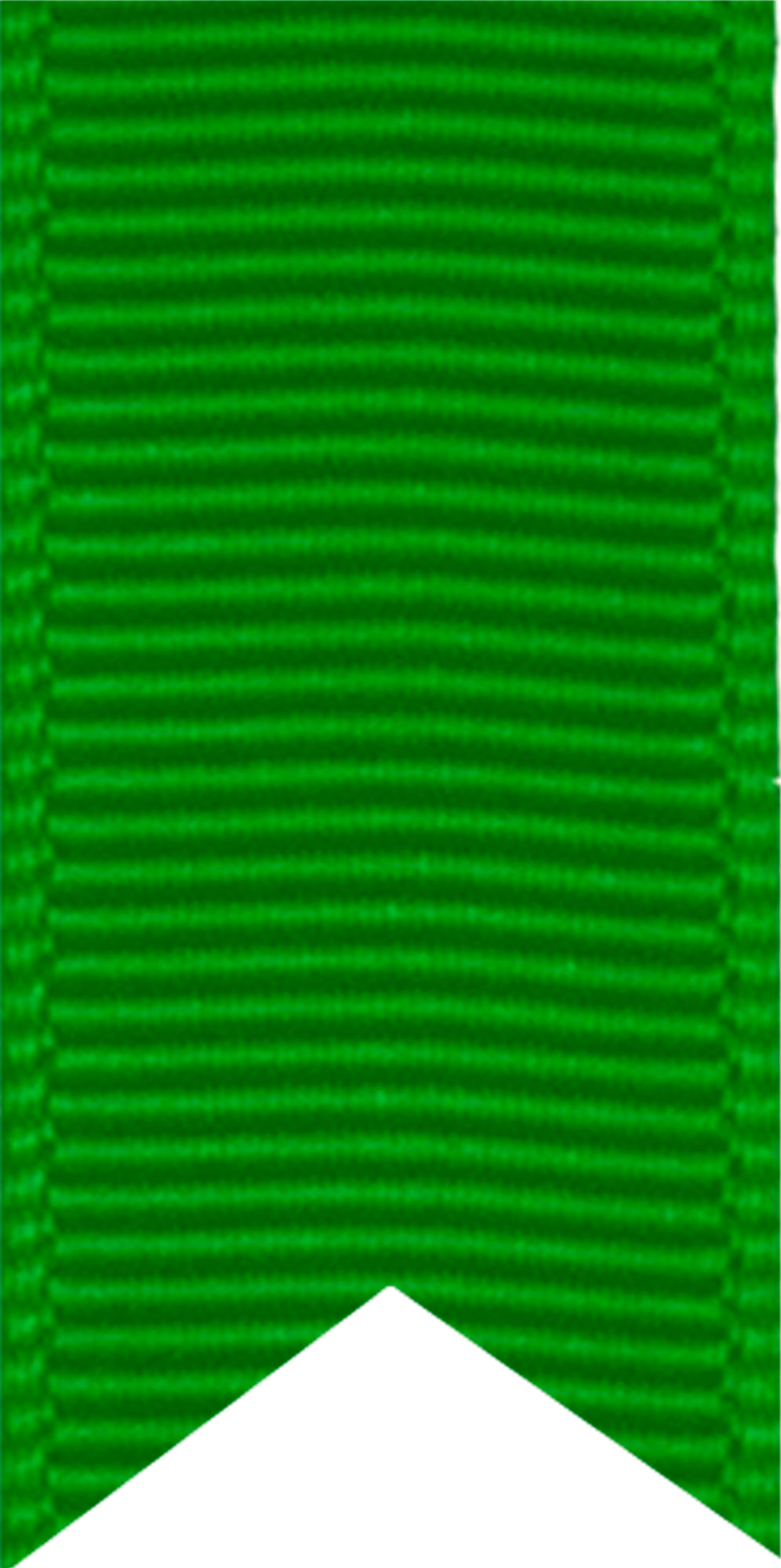 Green Grosgrain Ribbon  | Bookazine HK