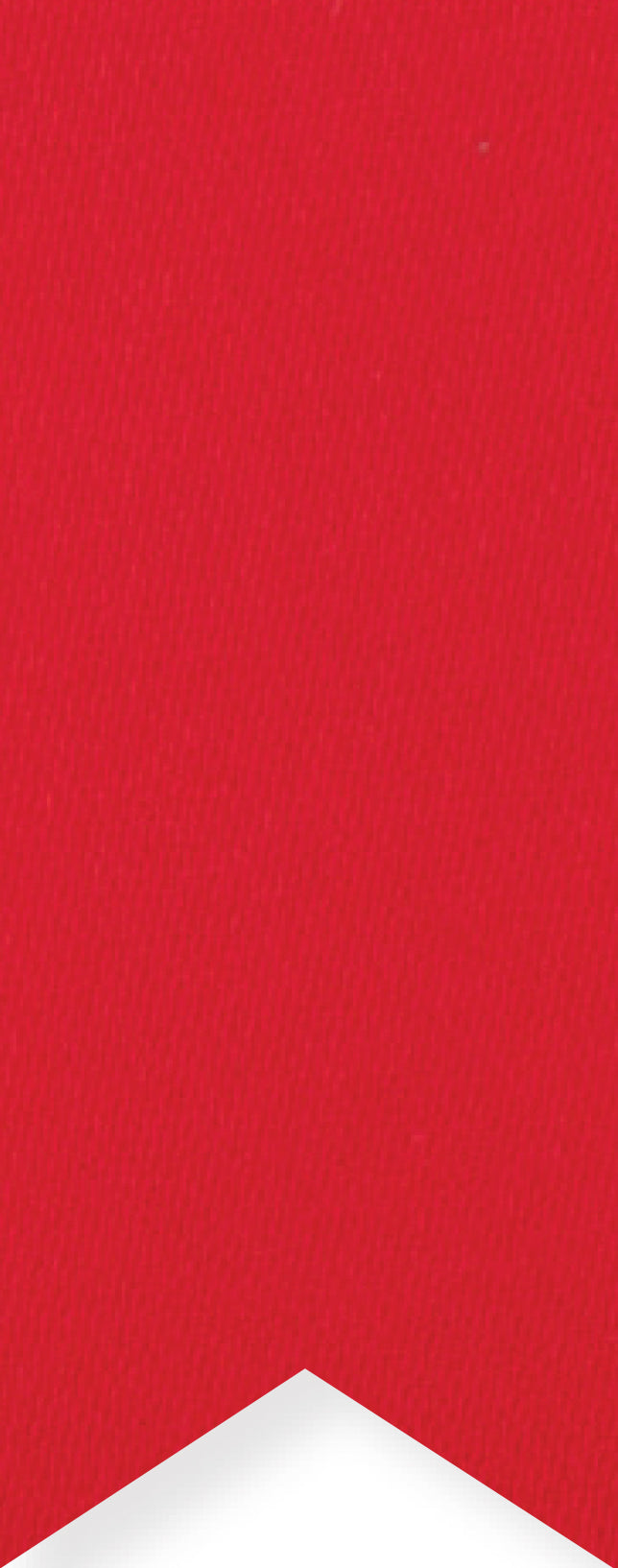 Red Satin Ribbon  | Bookazine HK