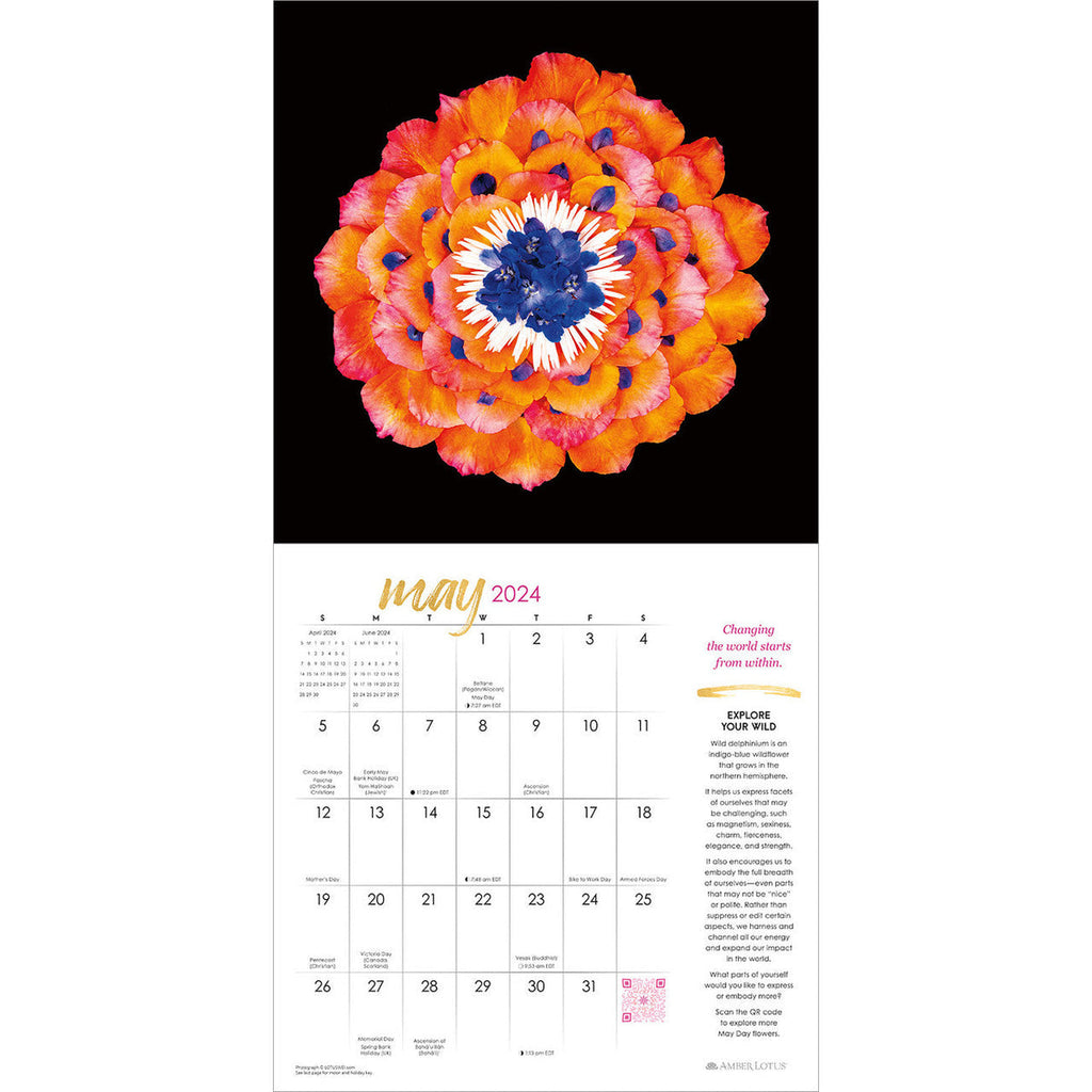 Flower Evolution 2024 Wall Calendar Bookazine HK