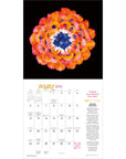 flower-evolution-2024-wall-calendar