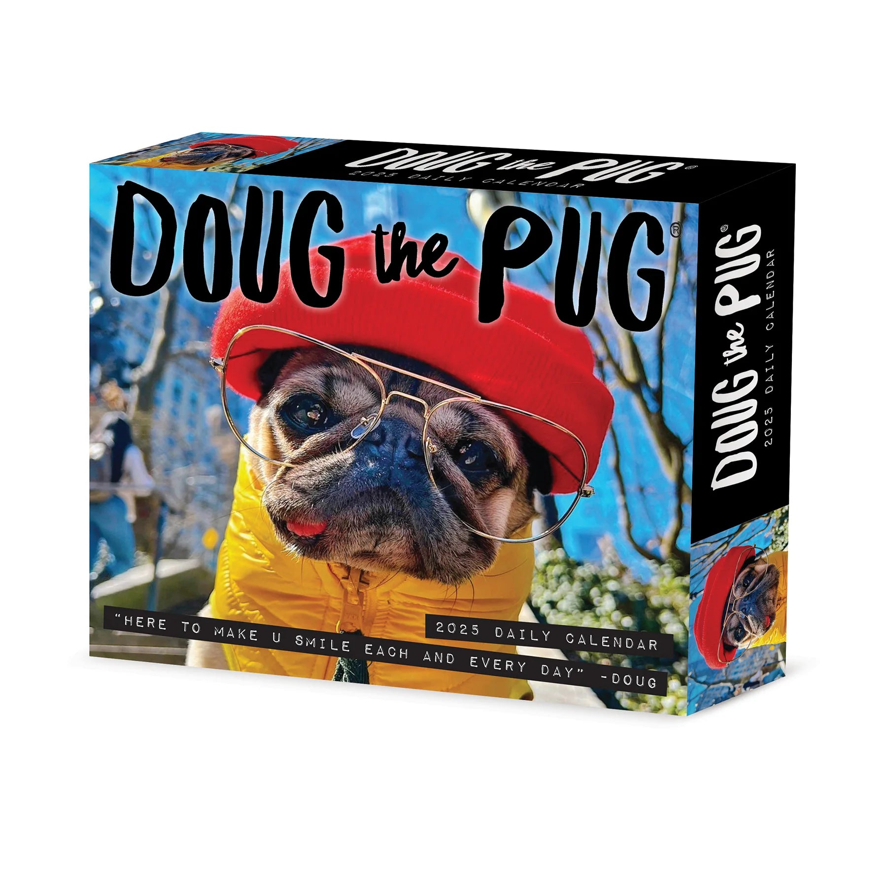 Doug The Pug Box Calendar 2025 | Bookazine HK