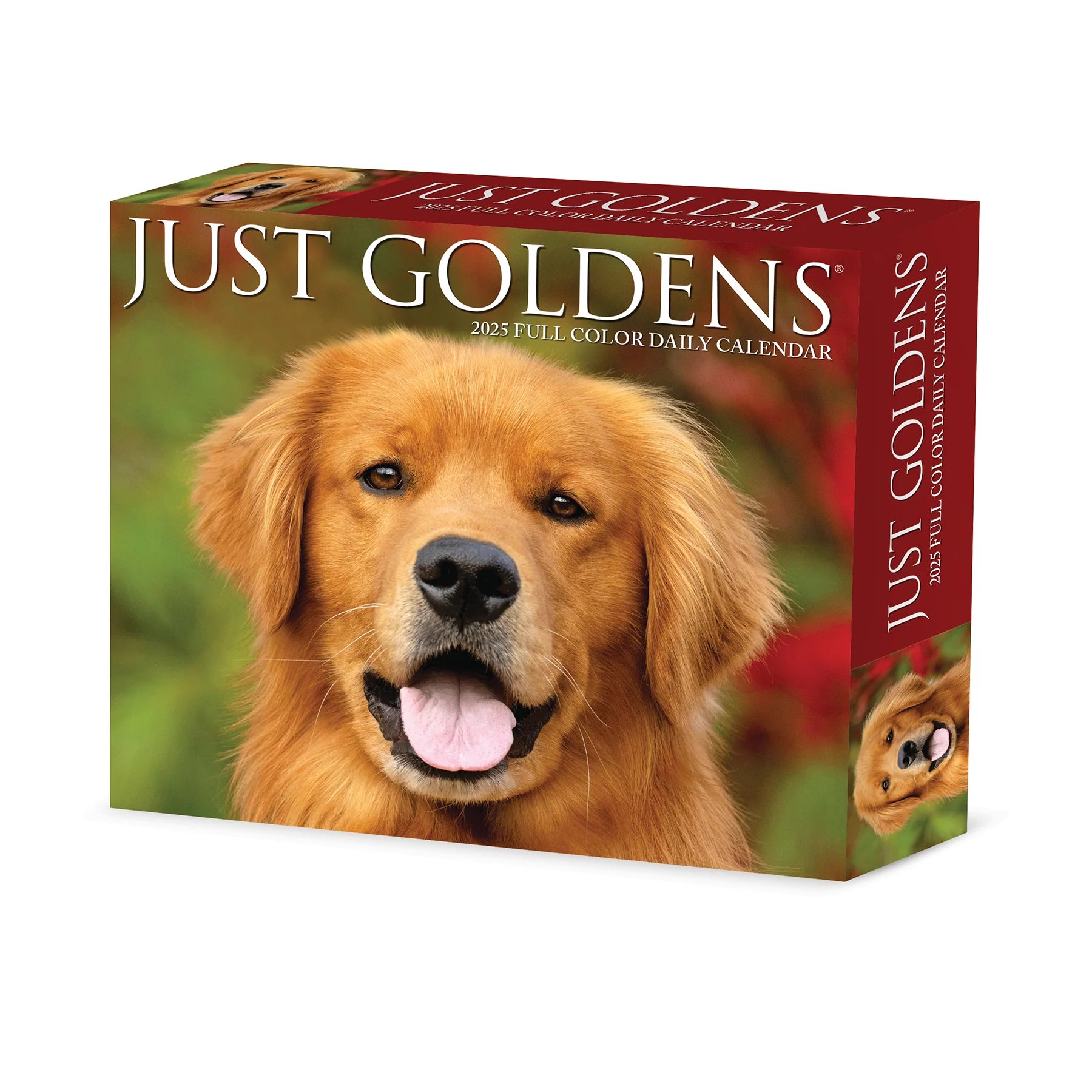 Goldens Box Calendar 2025 | Bookazine HK