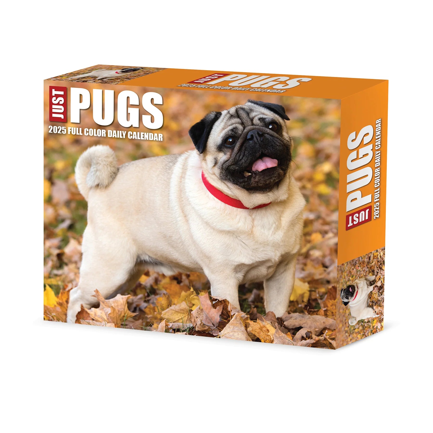 Pugs Box Calendar 2025 | Bookazine HK