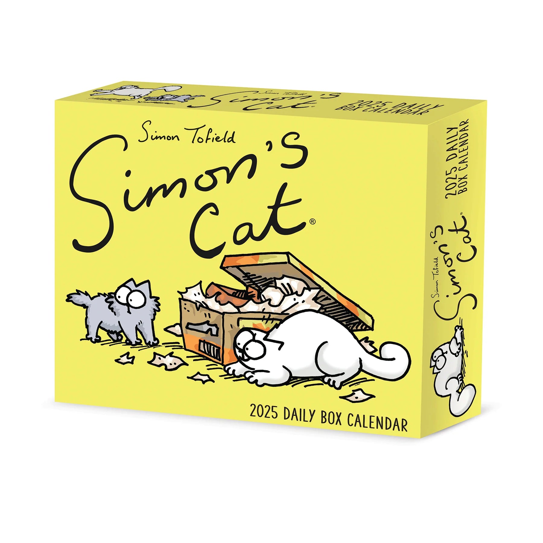 Simons Cat Box Calendar 2025 | Bookazine HK