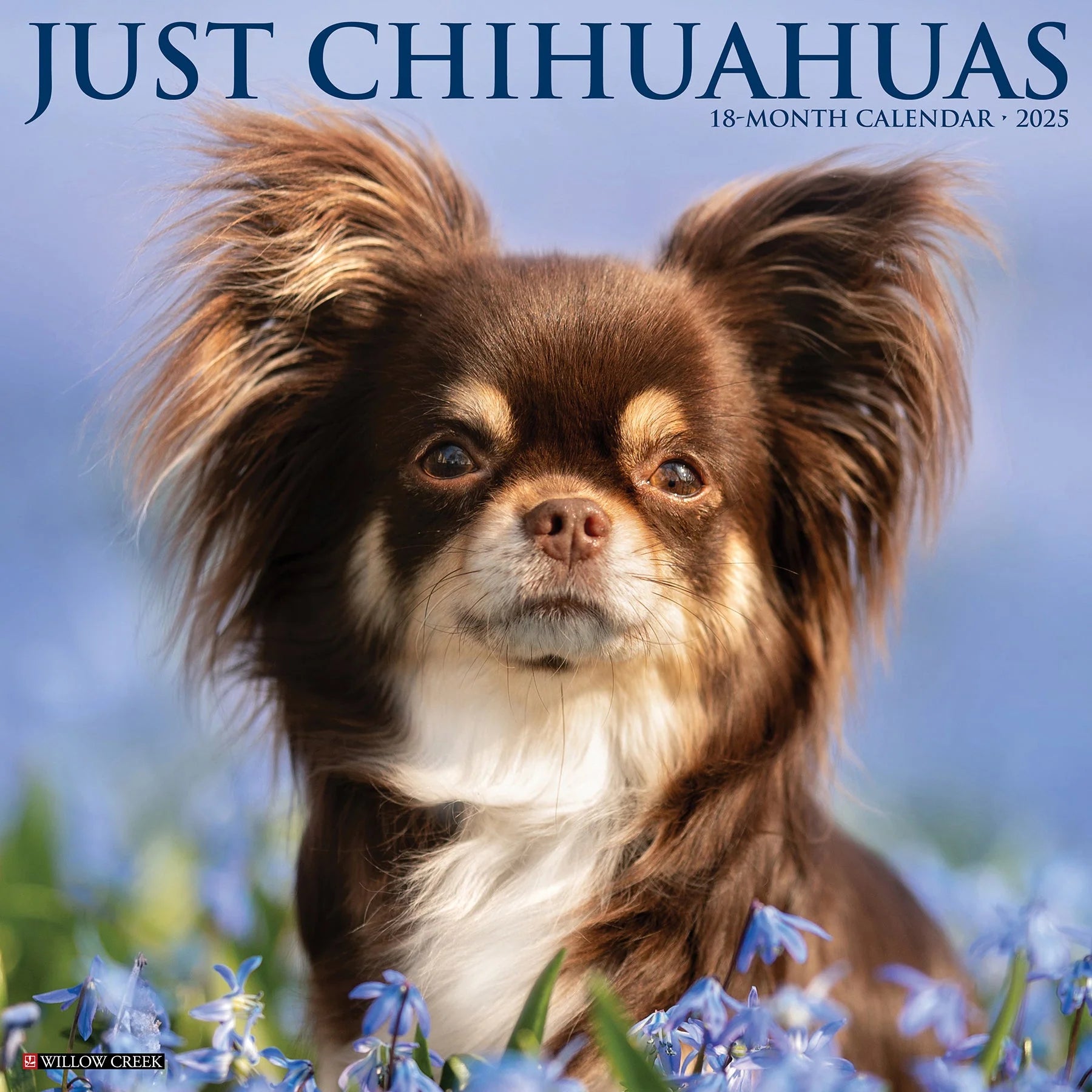 Just Chihuahua Wall Calendar 2025 | Bookazine HK