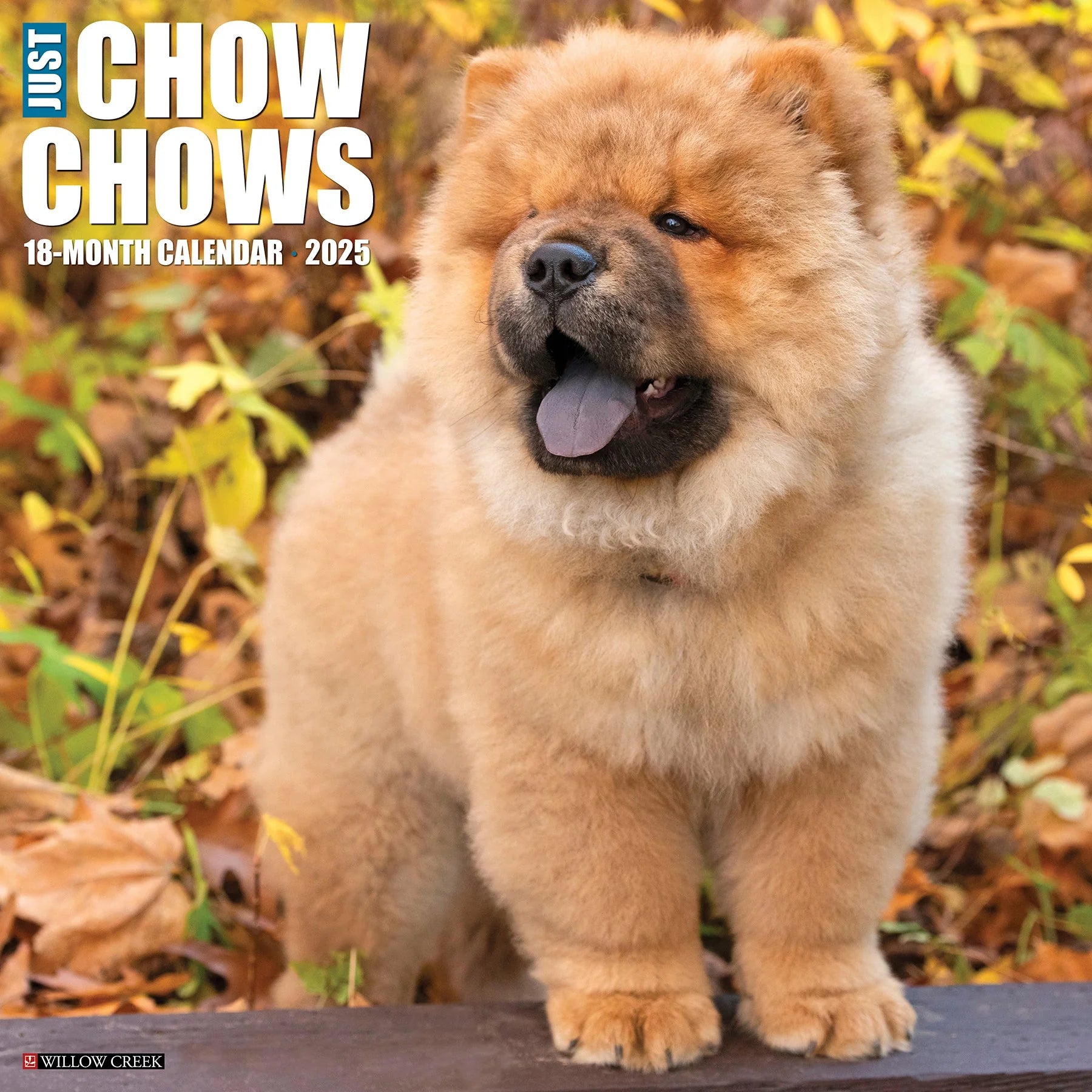 Just Chow Chows Wall Calendar 2025 | Bookazine HK