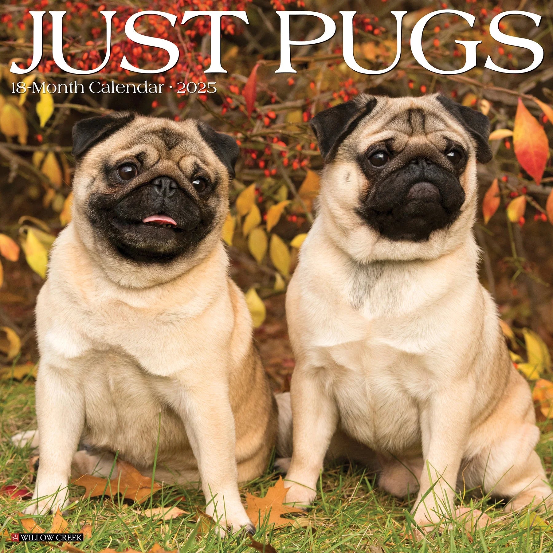 Just Pugs Wall Calendar | Bookazine HK