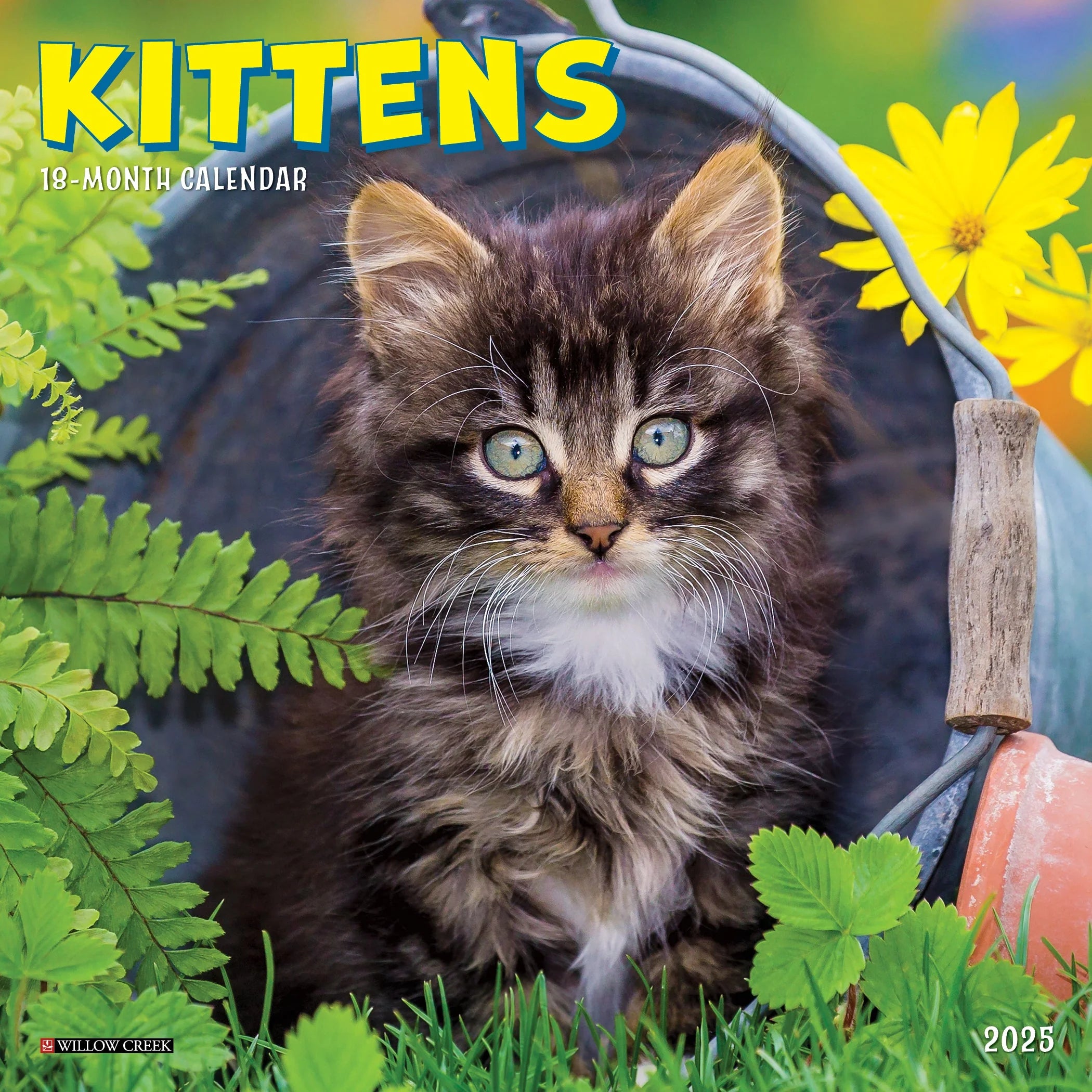 Kittens Mini Wall Calendar 2025 | Bookazine HK