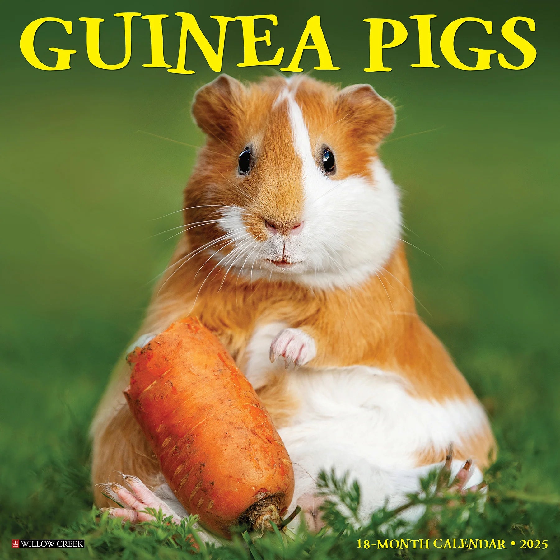 Guinea Pigs Wall Calendar 2025 | Bookazine HK