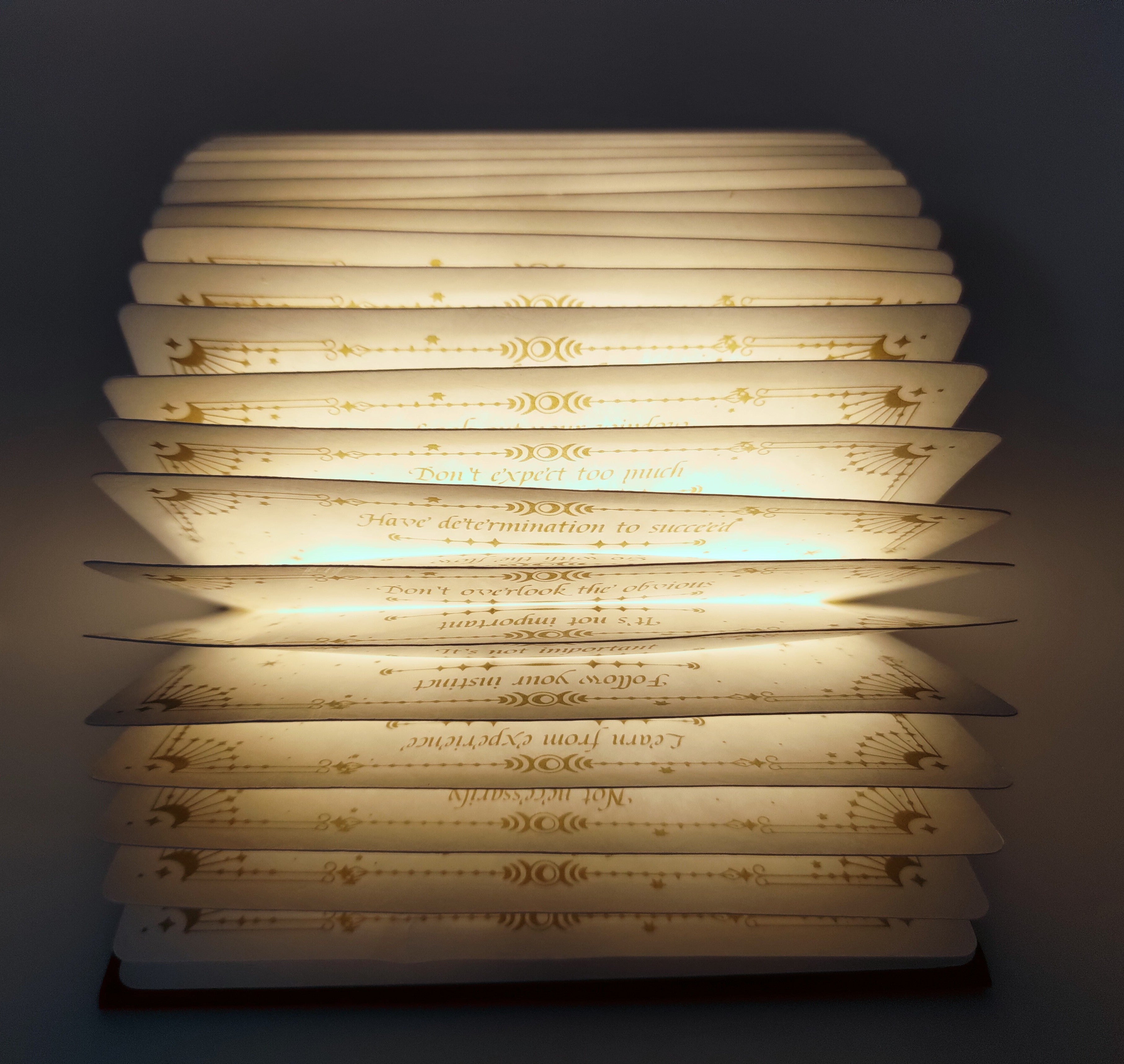 Butterfly Book Lamp - Black With Gold Print