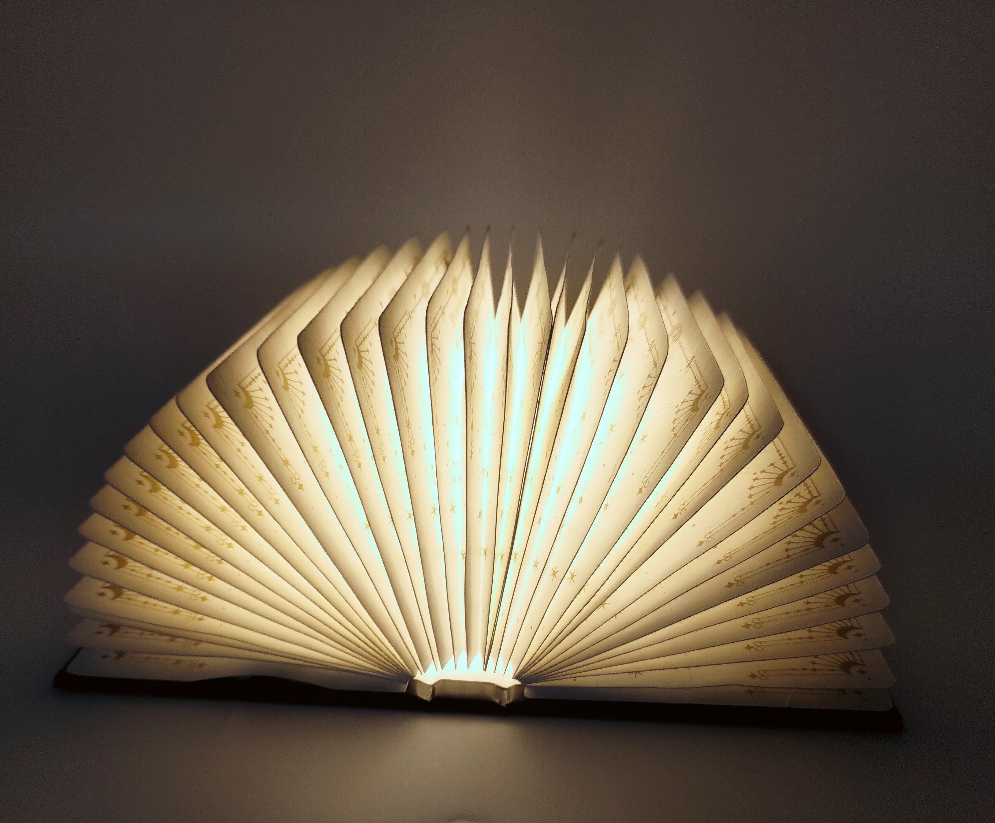 Butterfly Book Lamp - Black With Gold Print
