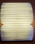 Butterfly Book Lamp - Red With Gold Print
