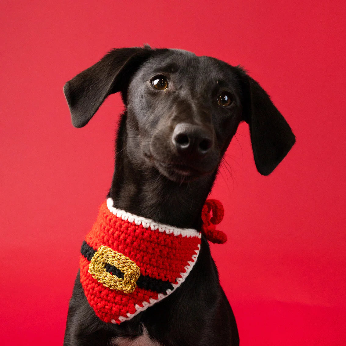 Pet Christmas Bandana
