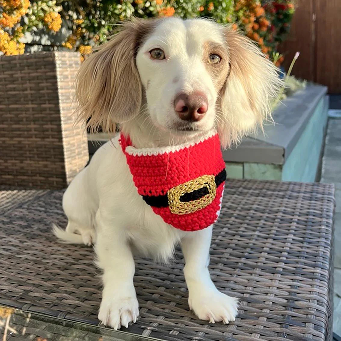 Pet Christmas Bandana