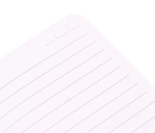 Flamingo A6 PU Notebook Rose