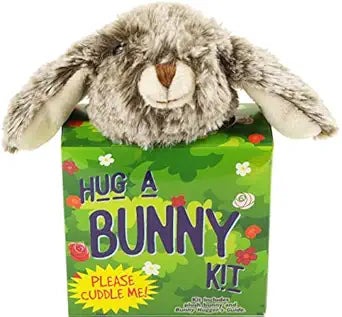 Hug A Bunny Kit | Bookazine HK