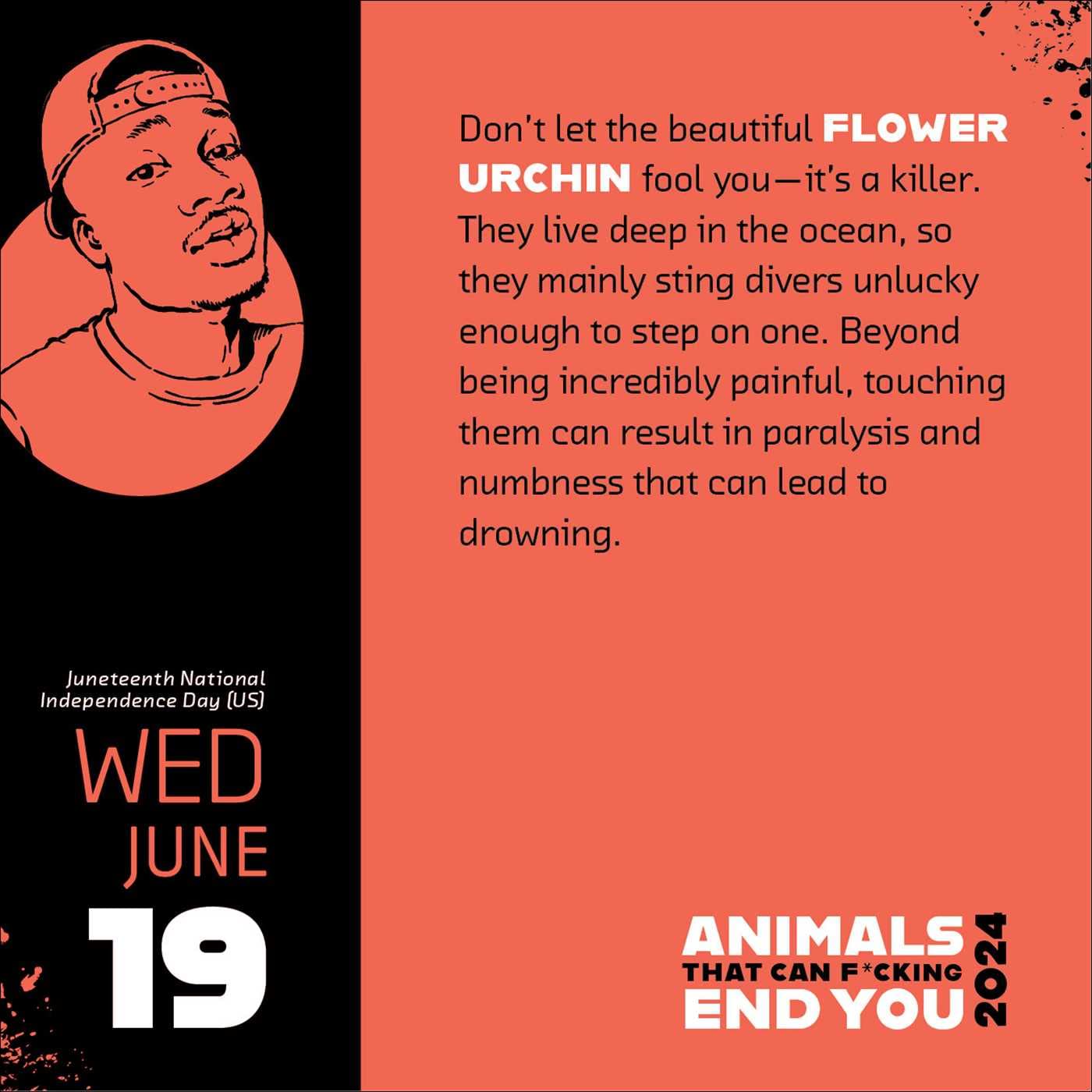 animals-that-can-f-cking-end-you-2024-day-to-day-calendar