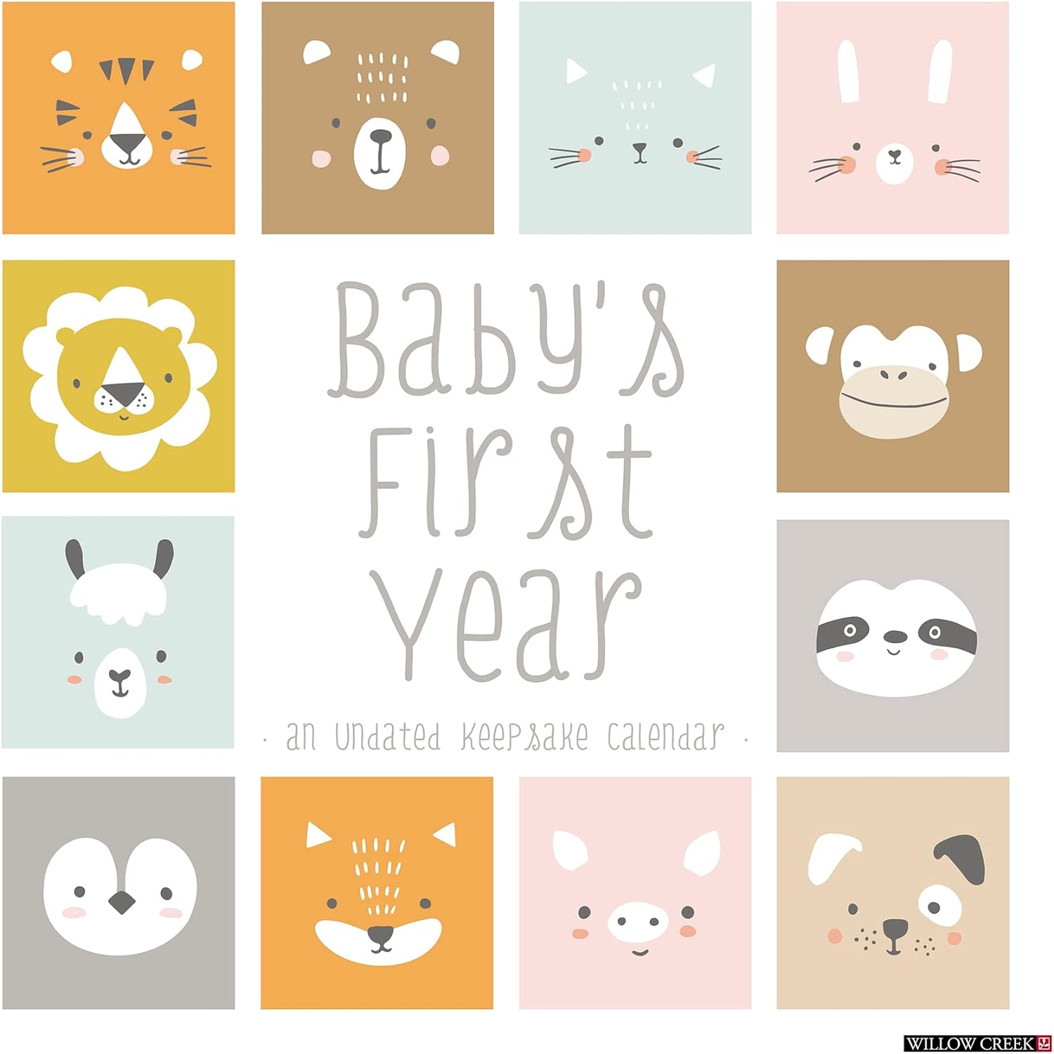 babys-first-year-undated-calendar