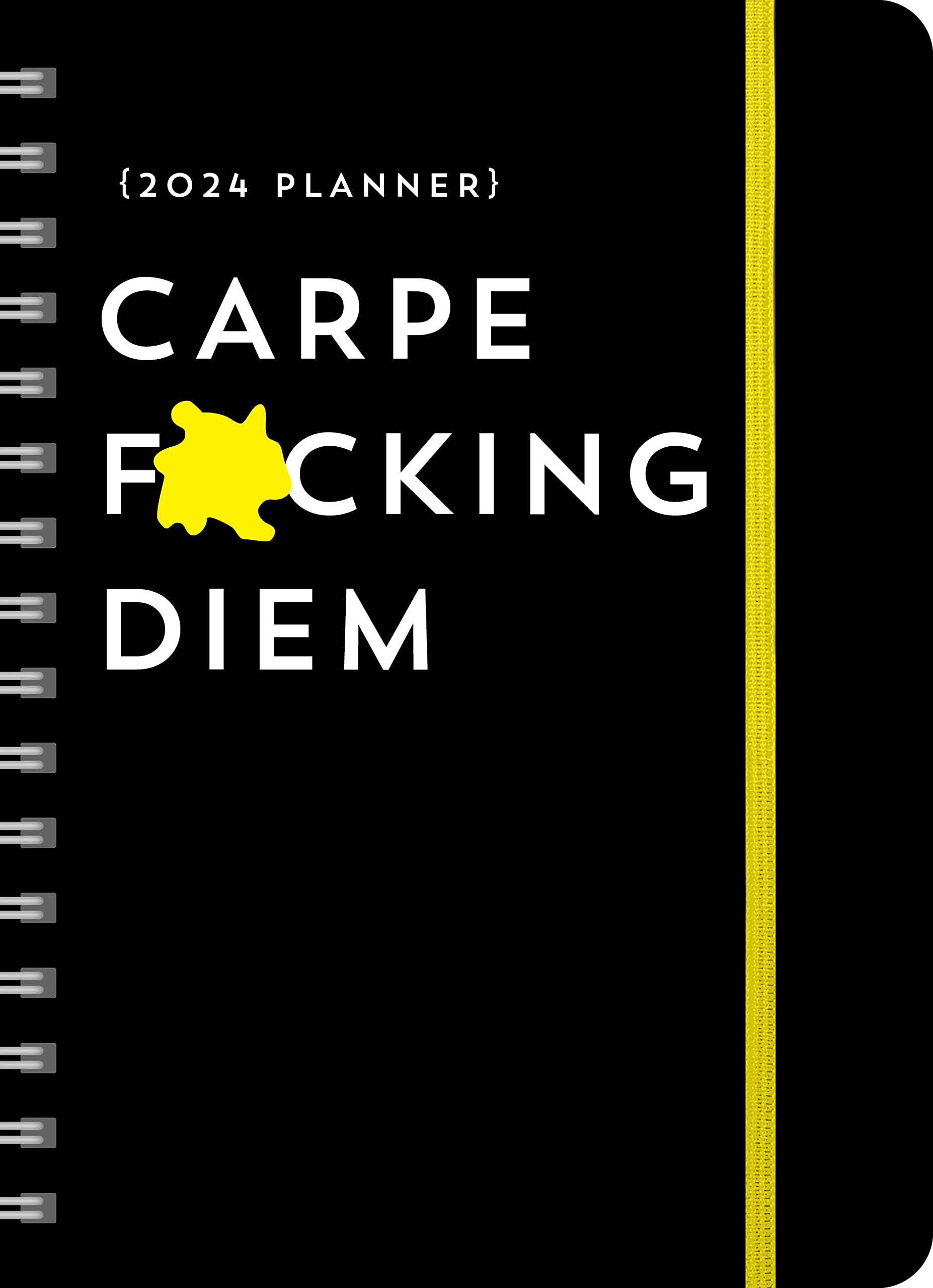 carpe-f-cking-diem-2024-planner