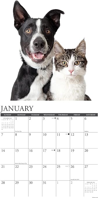 cats-dogs-2024-calendar