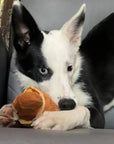 Croissant Combo Dog Toy