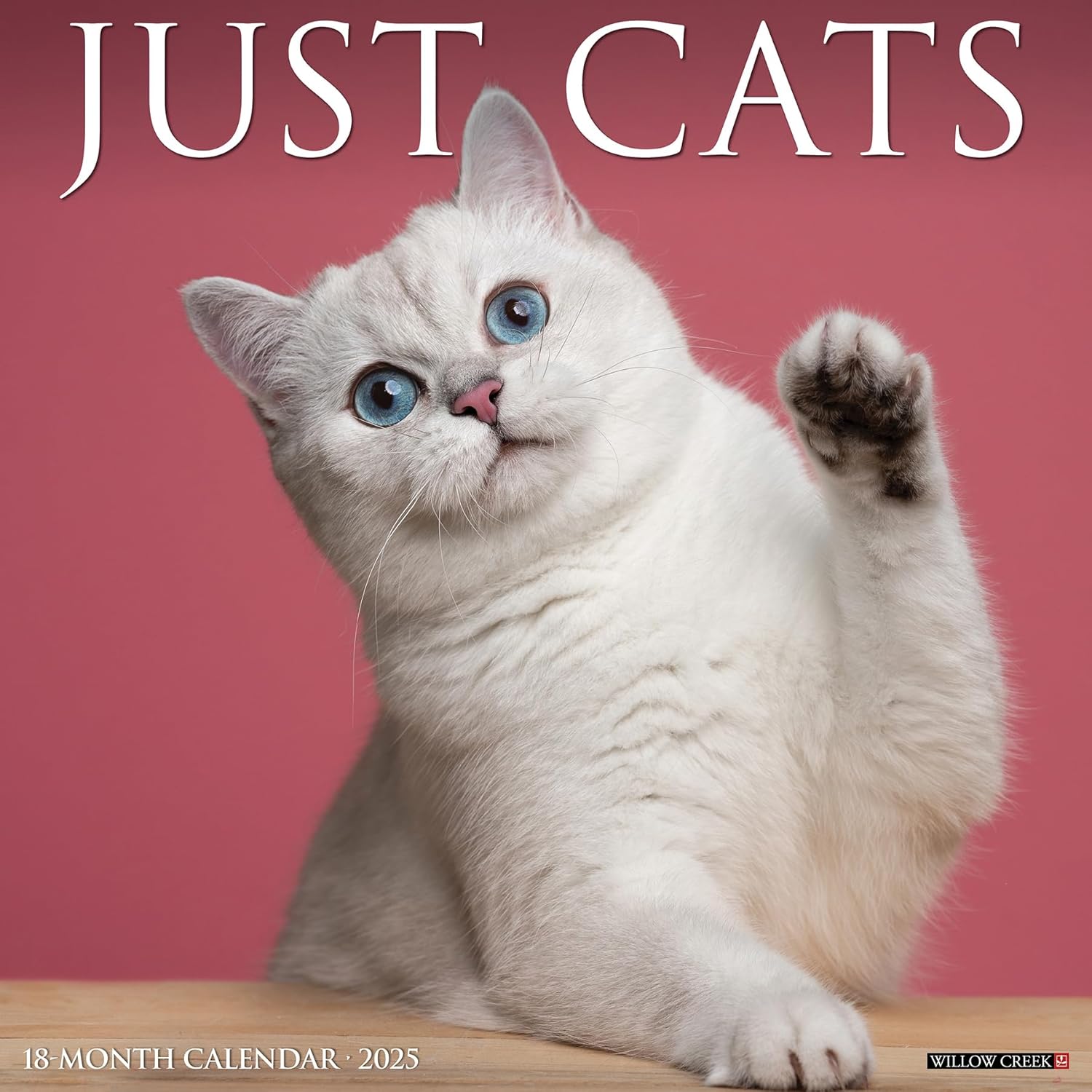 Just Cats Wall Calendar 2025 | Bookazine HK