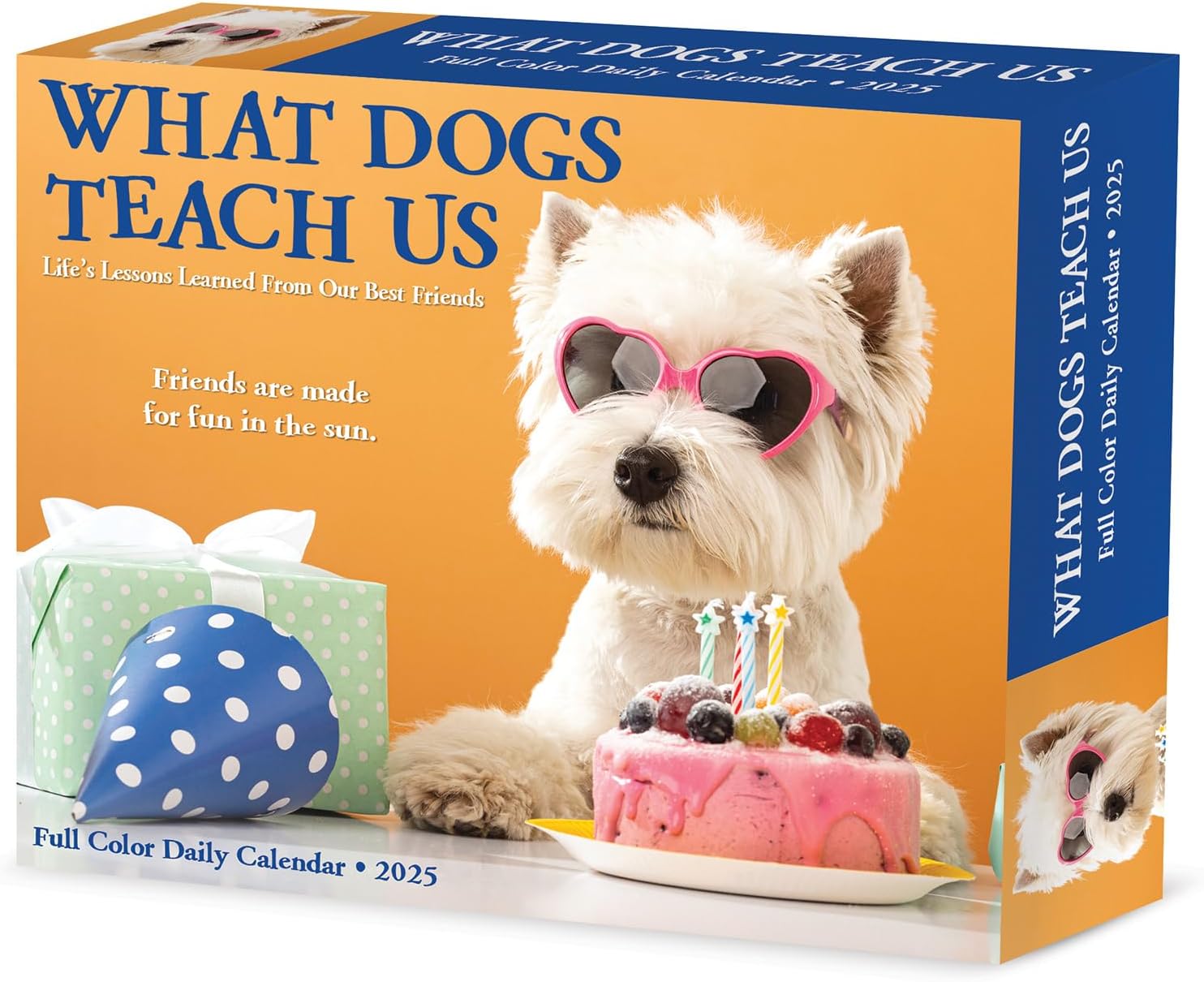 What Dogs Teach Us Box Calendar 2025 | Bookazine HK