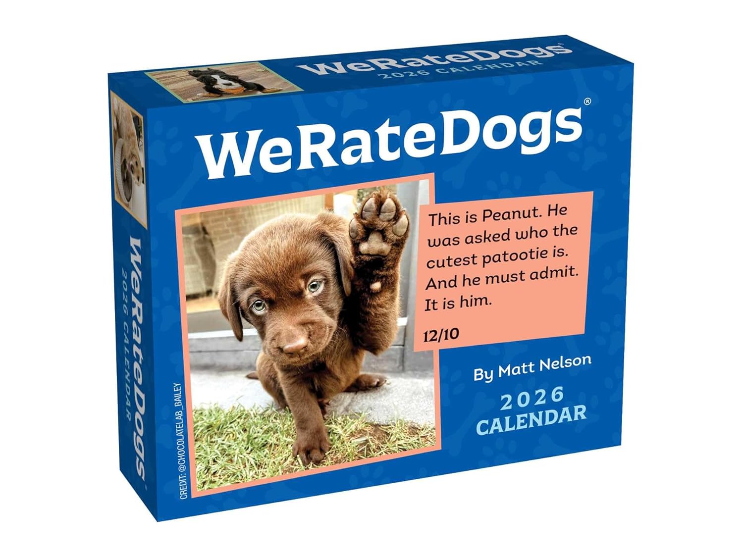 We Rate Dogs Box Calendar 2026 | Bookazine HK