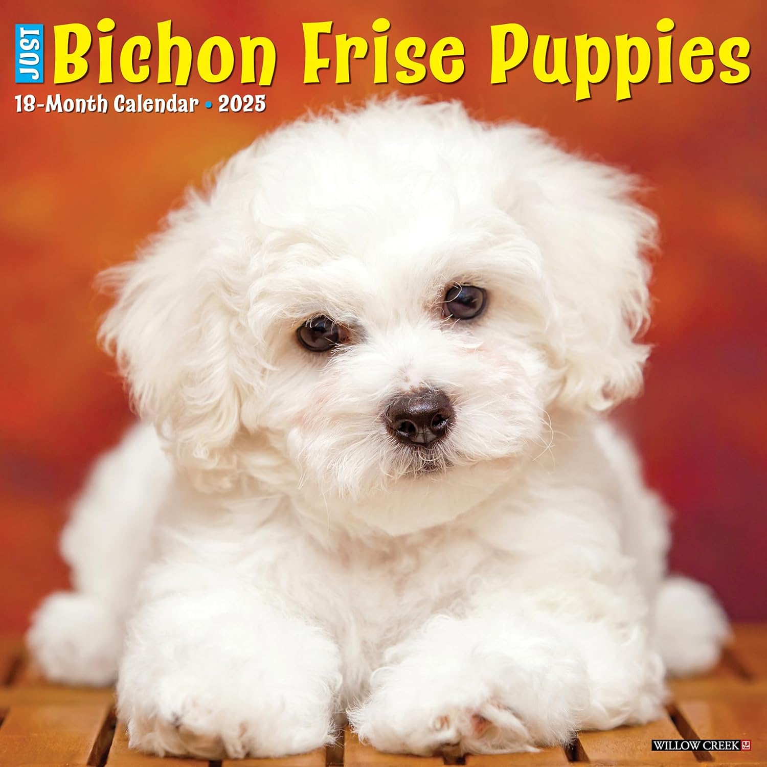 Just Bichon Frises Wall Calendar 2025 | Bookazine HK