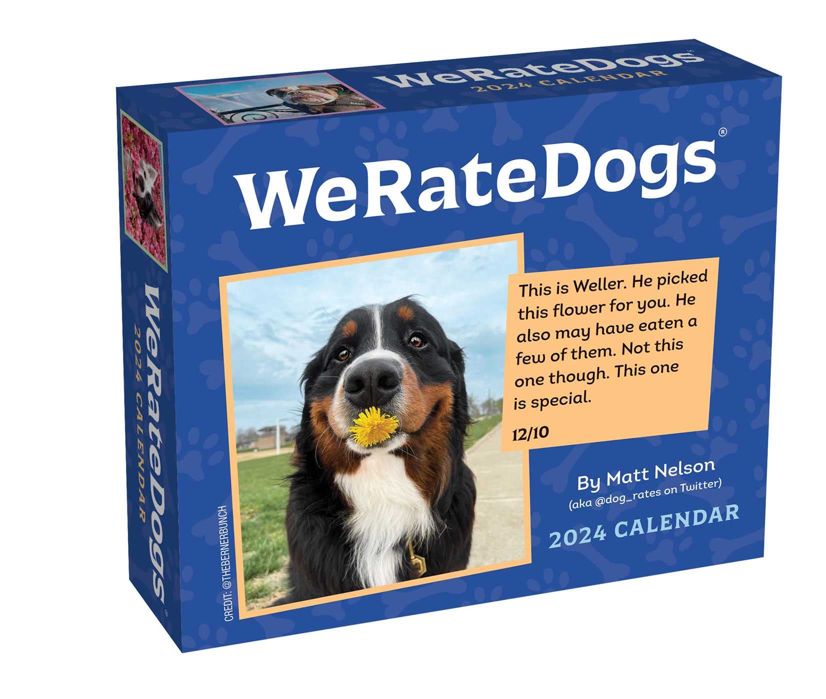weratedogs-2024-day-to-day-calendar