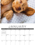 Naptime Dogs & Puppies Monthly Mini 2024 Wall Calendar