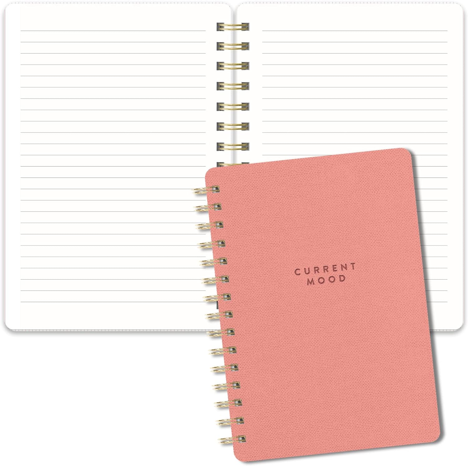 Current Mood Coral Pink Agatha Notebook