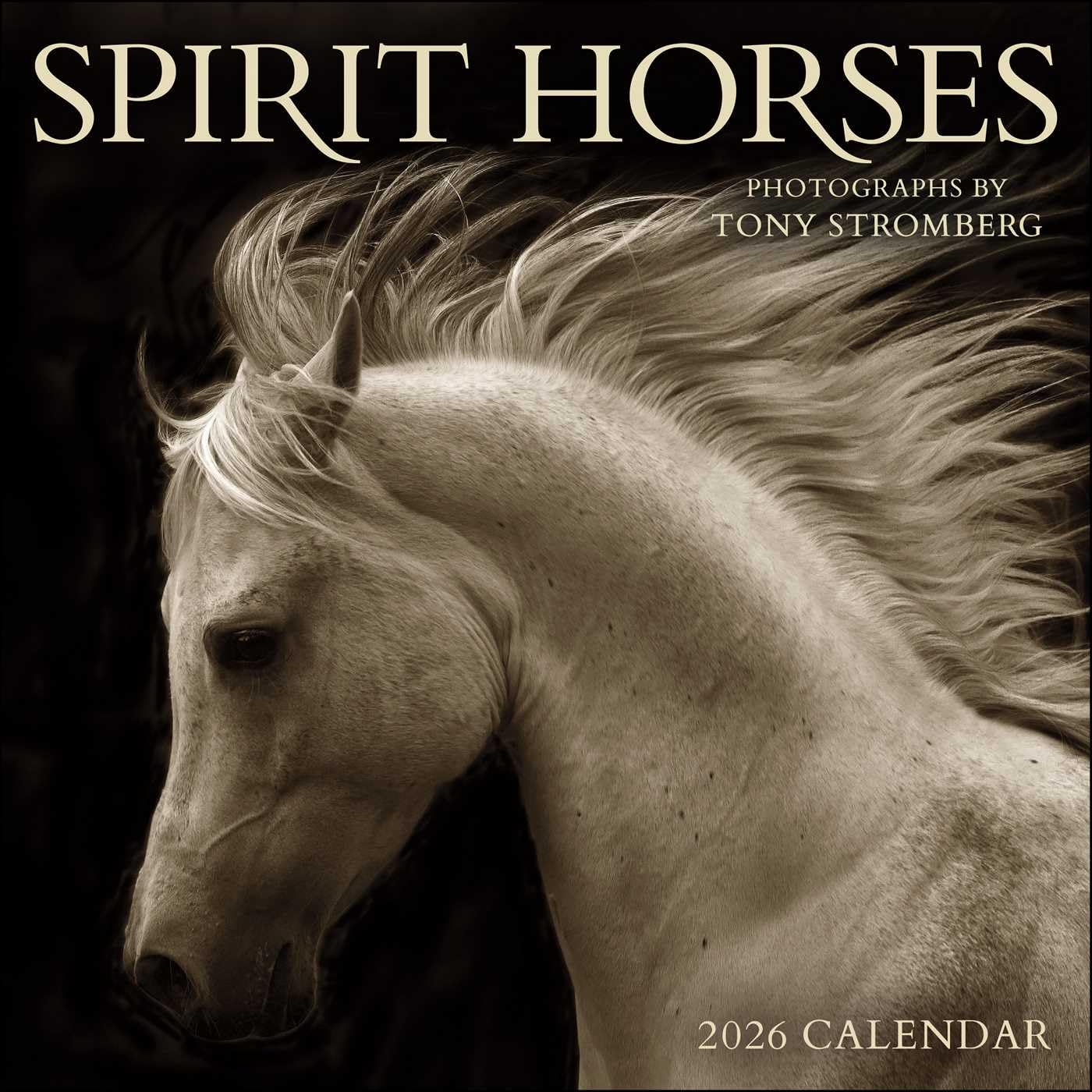Spirit Horses Wall Calendar 2026 | Bookazine HK
