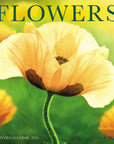 Flowers Monthly Mini 2024 Wall Calendar
