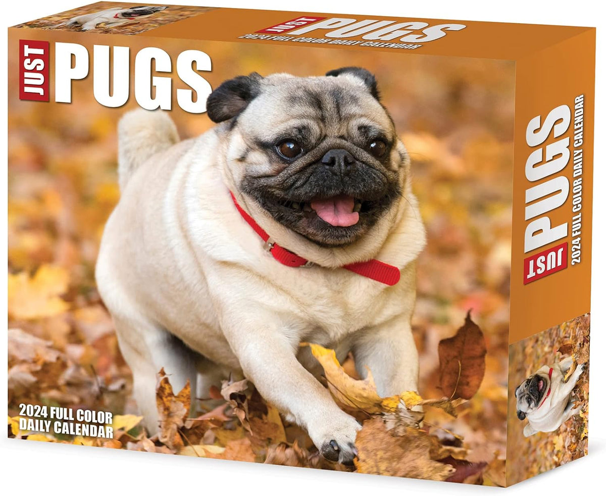 Pugs Daily 2024 Box/Desk Calendar Bookazine HK