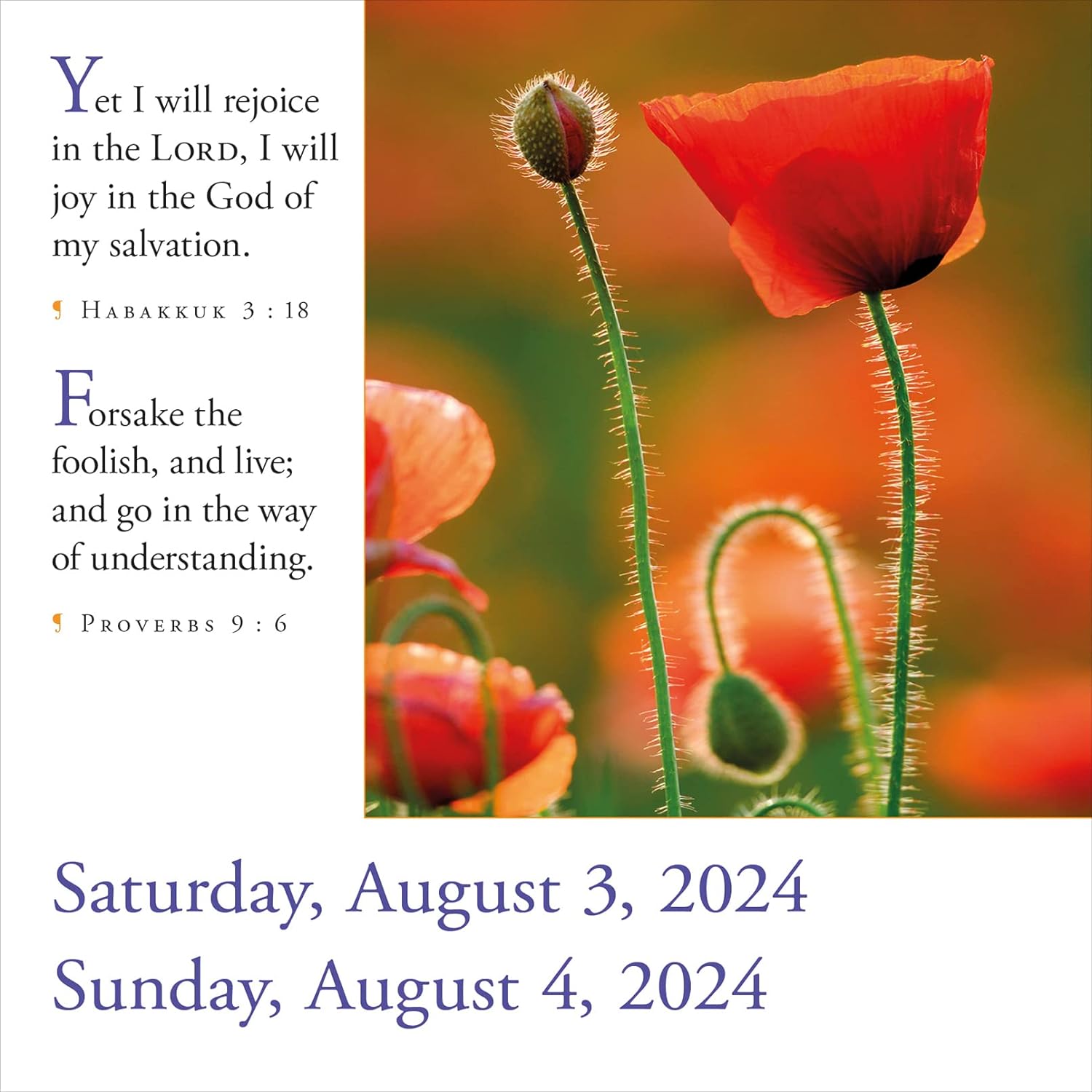 365-bible-verses-a-year-for-2024-page-a-day-calendar