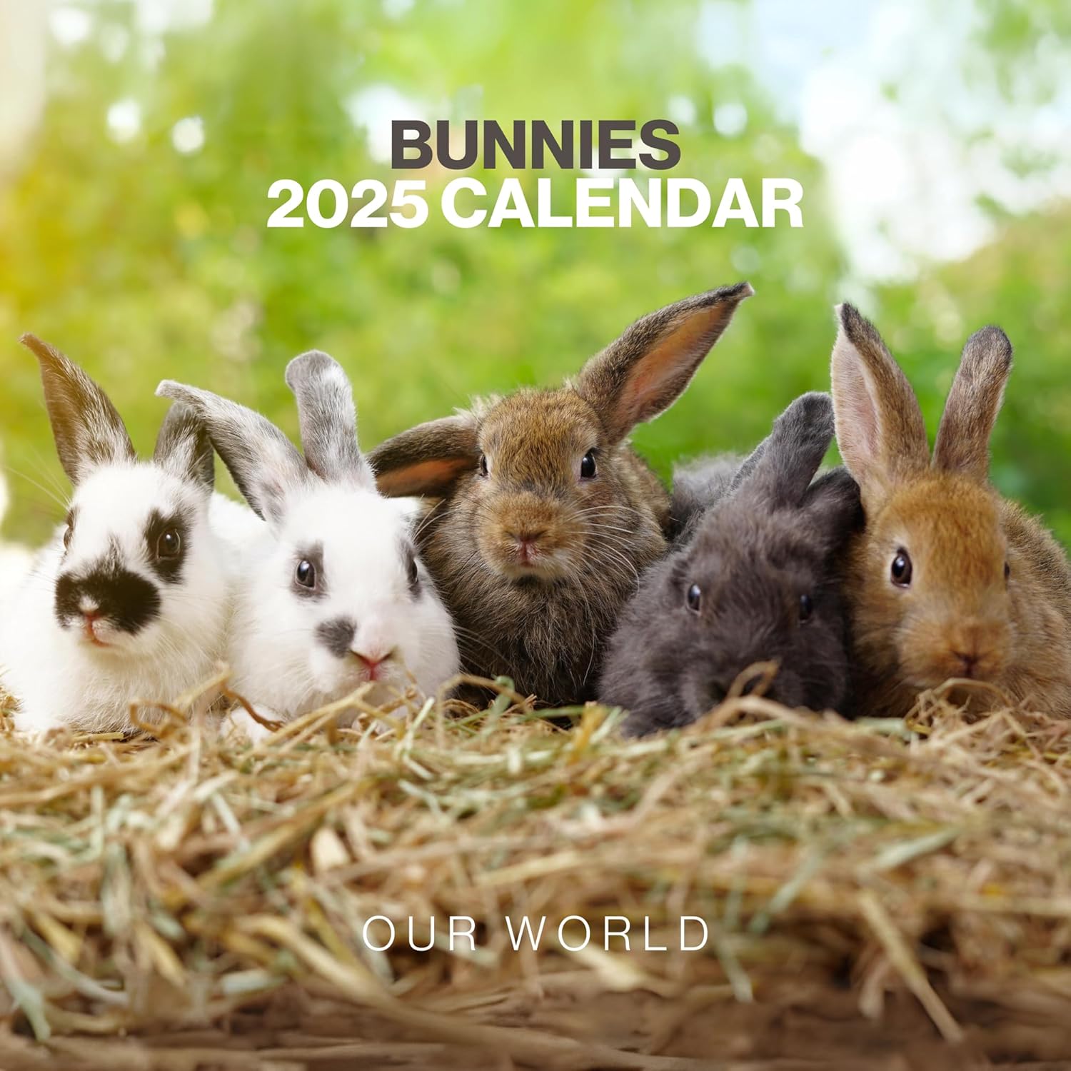 Just Bunnies Wall Calendar 2025 | Bookazine HK